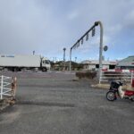 パラパラと降ってきました